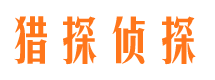 宏伟市场调查